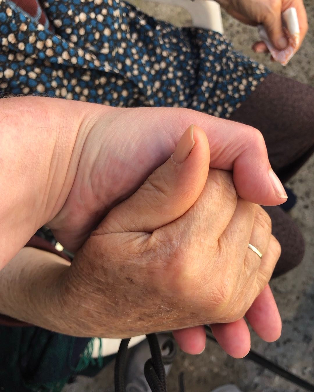 whatsapp image 2025 09 17 at 17.39.48